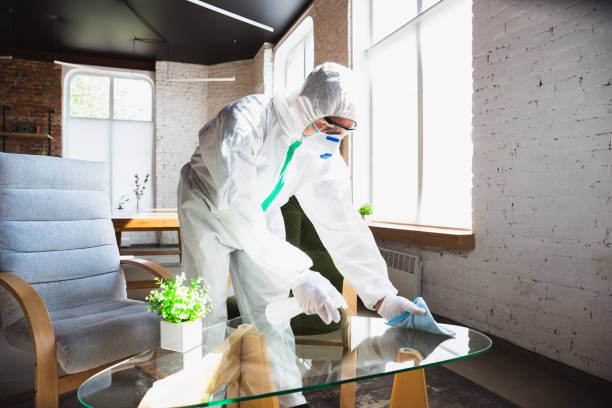 Best Industrial Mold Remediation  in Taft, TX