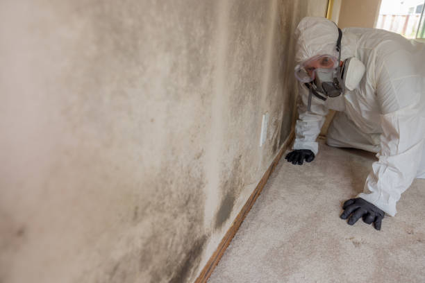 Taft, TX Mold Inspection Company